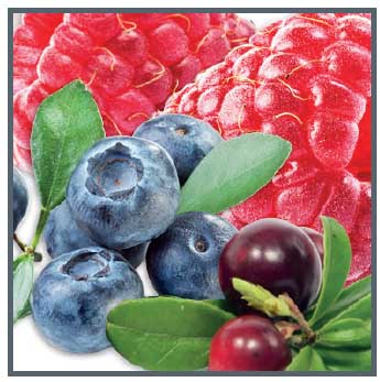 4. APOTHEKE Lesné plody 20x100g