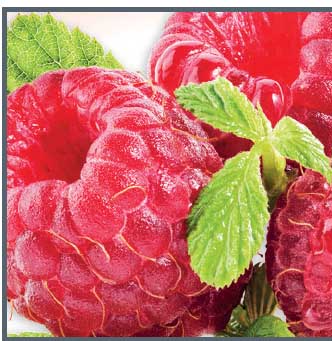 7. APOTHEKE Malina 20x100g