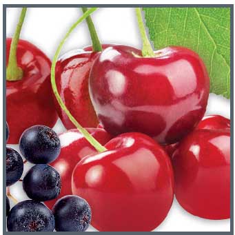 2. APOTHEKE Čerešňa / Arónia 20x100g