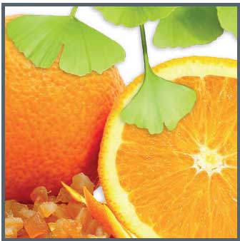 3. APOTHEKE Pomaranč / Ginkgo 20x100g