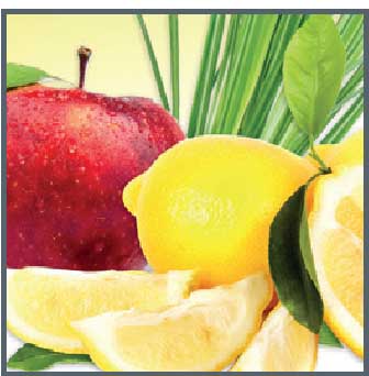 6. APOTHEKE Ranná sviežosť s citrónom 20x100g