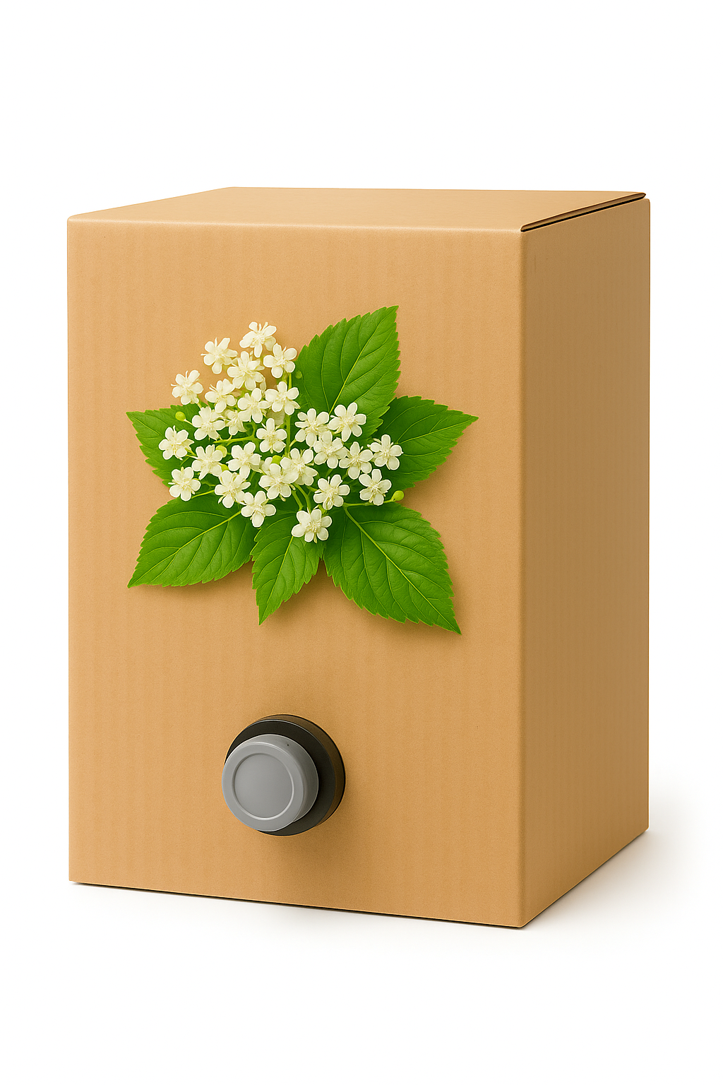 FRUTTOSO KVET BAZY 1:14