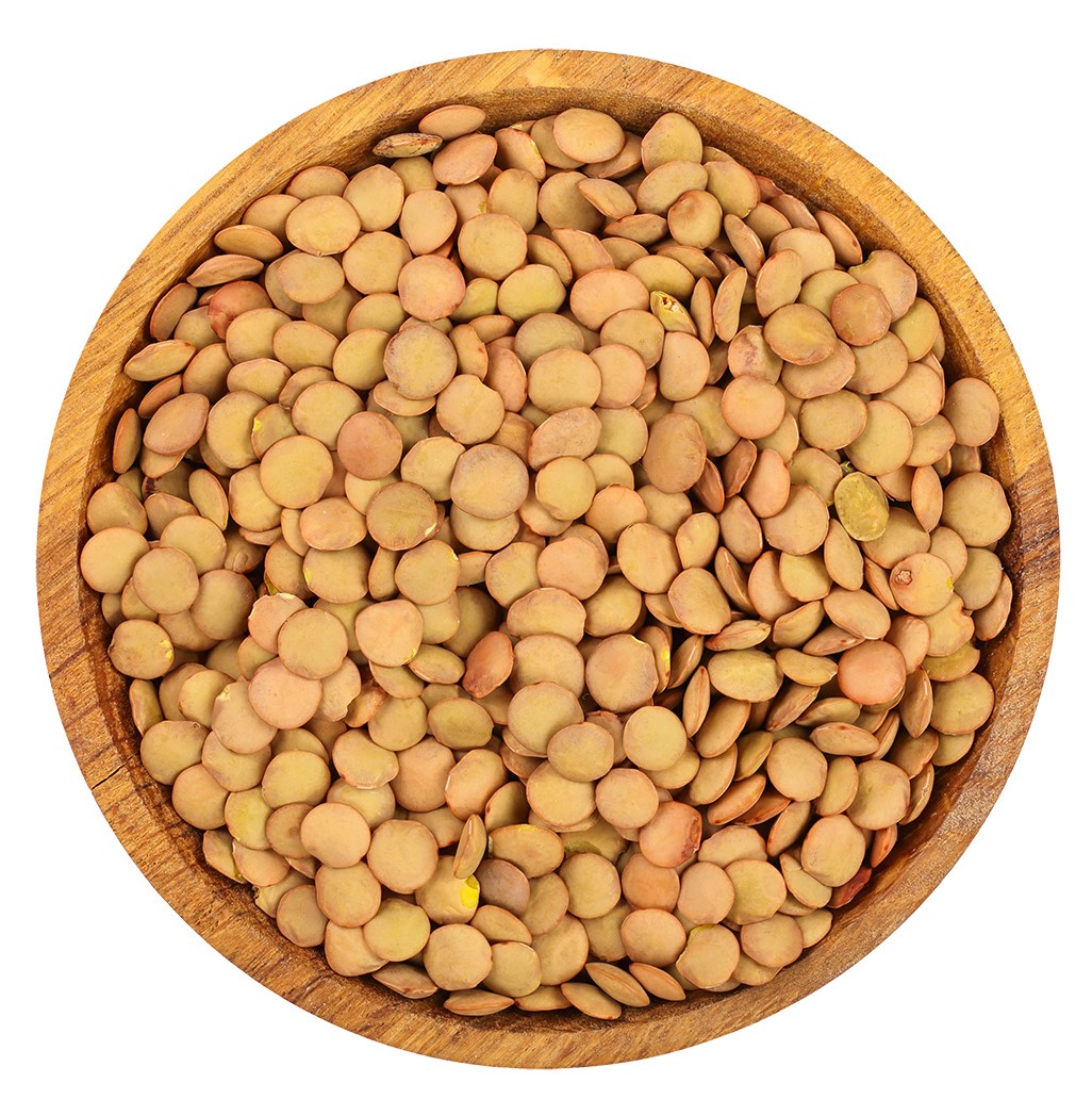 9. Šošovica veľkozrnná